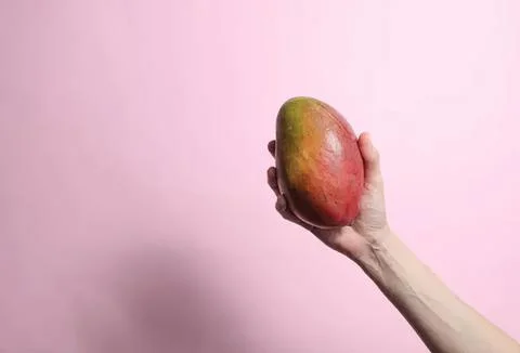 Hand holding large mango fruit against pink background Stock Photos