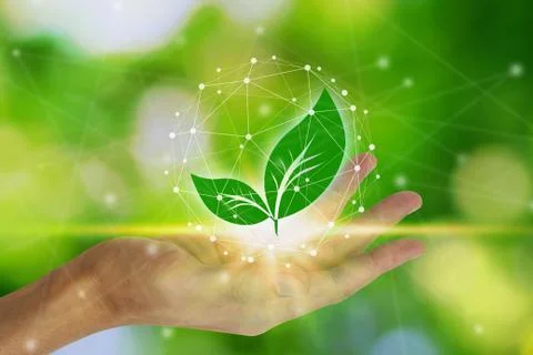 Hand holding with leaf and environment icons over the Network connection on n Stock Photos