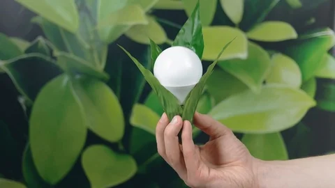 Hand holding LED Bulb with Lighting wrapped in green leaves on green nature b Stock Footage 121584262