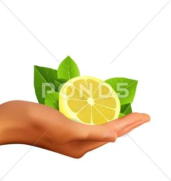 Hand holding lemon Stock Illustration