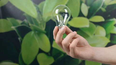 Hand holding light Bulb with Lighting on green nature background. Eco power s Stock Footage 121583954