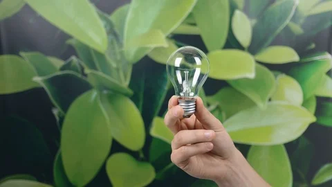 Hand holding light Bulb with Lighting on green nature background. Eco power s Stock Footage 121583972