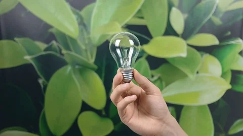 Hand holding light Bulb with Lighting on green nature background. Eco power s Stock Footage 121583987