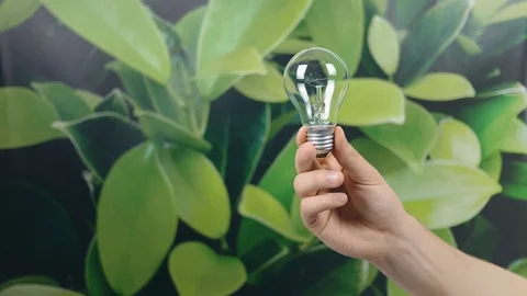 Hand holding light Bulb with Lighting on green nature background. Eco power s Stock Footage 121584021