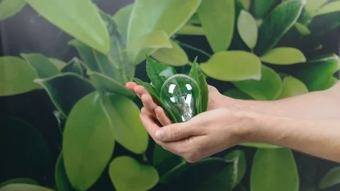 Hand holding light Bulb wrapped in green leaves on green nature background. E Stock Footage 121584121