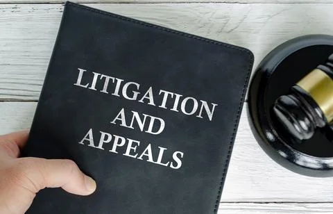 Hand holding Litigation and Appeals book with gavel background Stock Photos