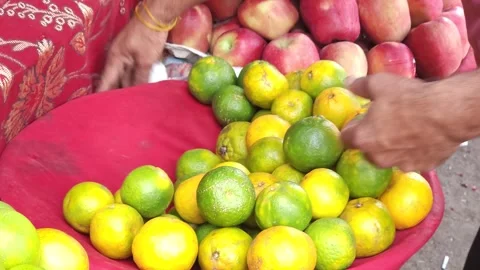 Hand holding mango fruit Stock Footage 284438751