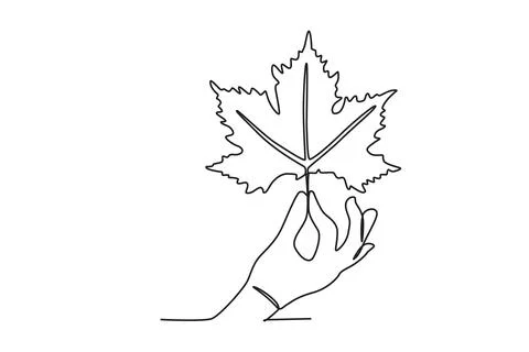 A hand holding a maple leaf Stock Illustration