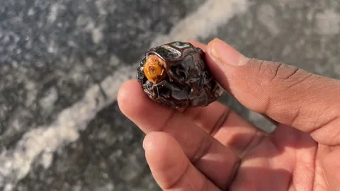 Hand Holding Medjool Dates for Healthy Snacking Видео 322901414