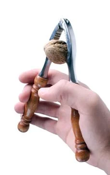 Hand holding nut cracker with wallnut inside. Stock Photos