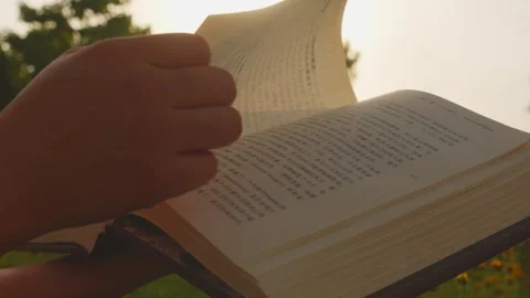 Hand Holding Open Book Reading Outdoors at Sunset with Sunlight Stock Footage 336561960
