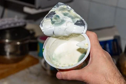 Hand holding open container of spoiled cottage cheese with green mold Stock Photos