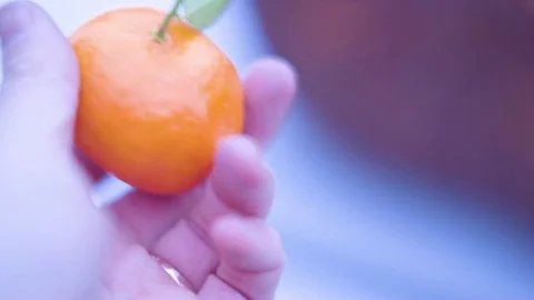 Hand holding orange in farm Stock Footage 76138501