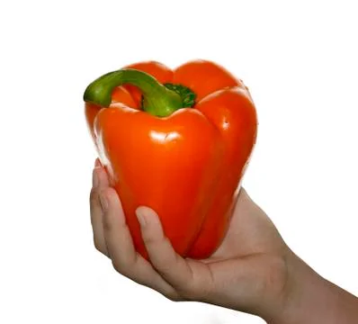 Hand holding  orange Stock Photos