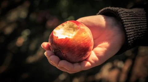 Hand Holding Out Apple with Bite Stock Photos