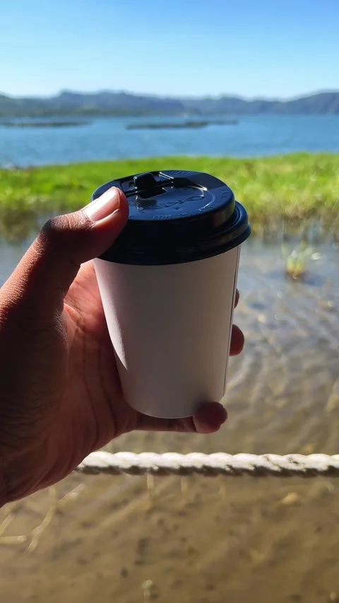 Hand holding a paper cup of coffee with beautiful landscape background Stock Footage 335977216
