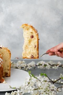 Hand holding piece of Easter cake on dessert spatula Stock Photos