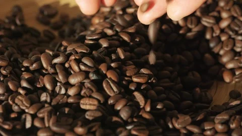 Hand is holding a pile of coffee beans Stock Footage 301623308