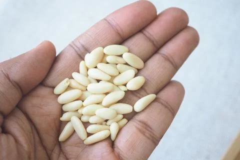 Hand Holding Pine Nuts Close-Up Shelled Seeds On Palm Stock Photos