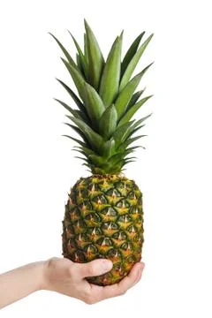 Hand holding pineapple fruit Stock Photos