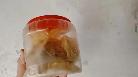 Hand Holding a Plastic Box Filled with Cooking Masala 스톡 동영상 347365877