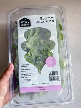 A hand holding a plastic container of Gotham Greens Gourmet Lettuce Mix - 07. Stock Photos