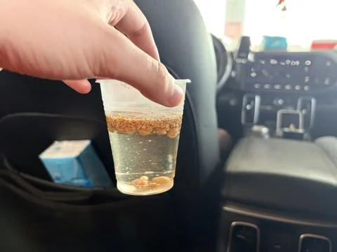 Hand Holding Plastic Cup with Floating Seeds in Car Interior Stock Photos