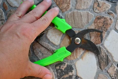 Hand holding pruning shears for balcony gardening Photos