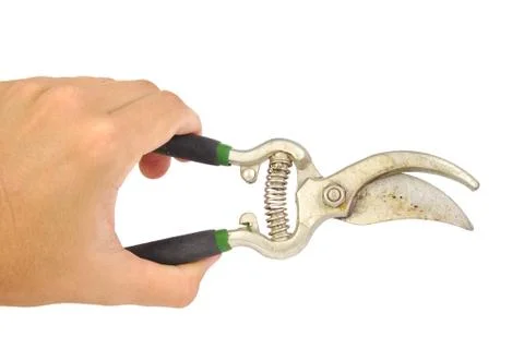 Hand holding pruning shears or garden scissors isolated on a white background Stock Photos