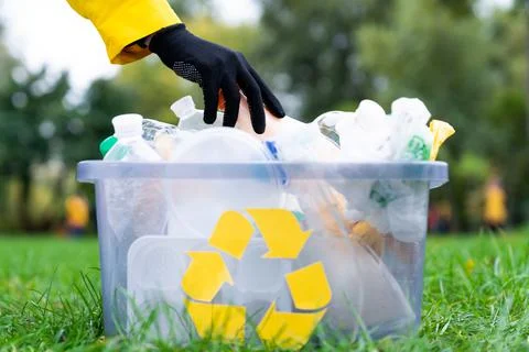 Hand is holding recycling plastic bottle waste over container. Volunteer is c Stock Photos