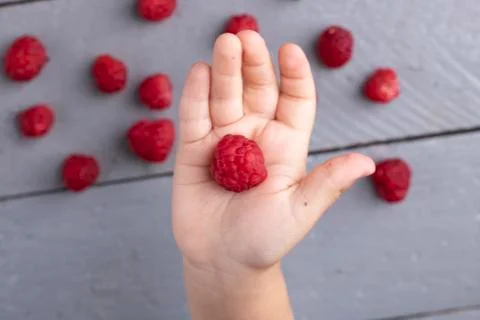 Hand holding red raspberry, burred background. Top view Stock Photos