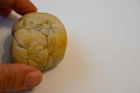 Hand holding a rounded pebble Fotos Stock