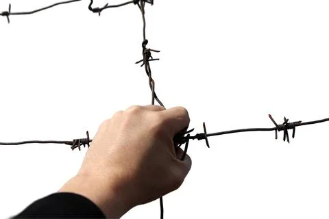 Hand holding rusty barbed wire isolated on white Stock Photos