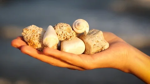 Hand Holding Seashells And Beach Rocks, Sea Waves At Background. Stock Footage 94614167