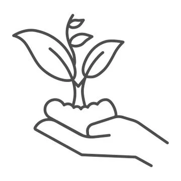Hand holding seedling in soil thin line icon, nature concept, Hand carefully Illustration