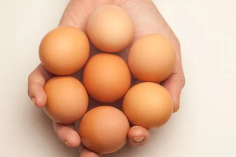 Hand holding seven eggs Stock Photos