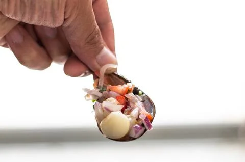 Hand holding a shell with fresh ceviche on a white background Stock Photos