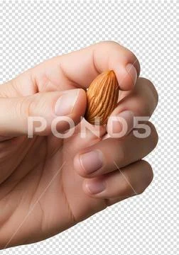 Hand holding single almond nut, healthy snack concept PSD 템플릿