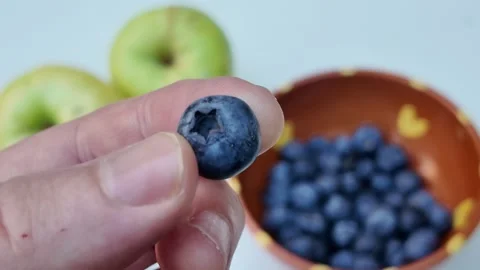 Hand holding a single blueberry Stock Footage 346898464