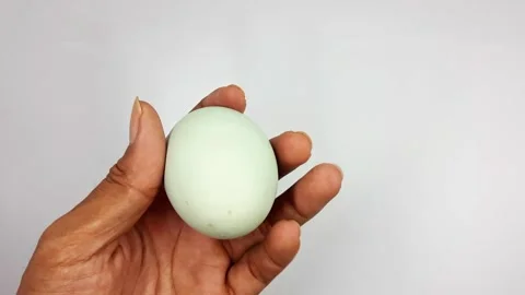 Hand holding a single salted duck egg against a white background close up Stock Footage 322092606