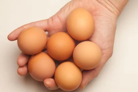 Hand holding six eggs Foto stock