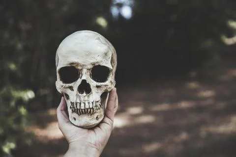 Hand holding skull forest Stock Photos