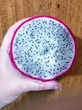 Hand holding slice of pitaya Fotos de archivo