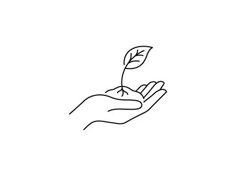 Hand holding a small green sprout with roots and soil, minimalist line art .. 库存插图