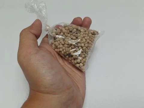 Hand Holding Small Plastic Bag of Whole White Peppercorns Stock Photos