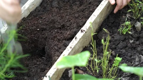 Hand holding small shovel digging hole prepare planting. 库存影片 157758468