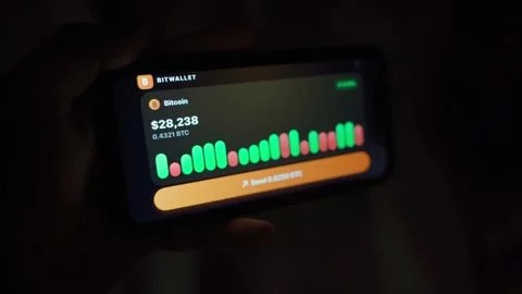 Hand holding smartphone with crypto wallet app showing balance and rising chart Stock-Footage 342129344