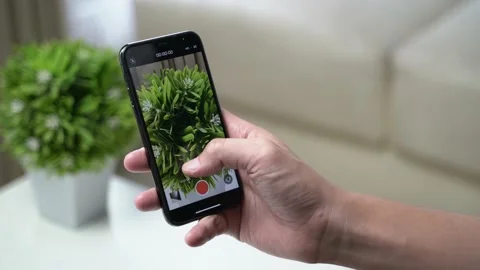 Hand holding a smartphone, test the camera and trying to take a photo Video stock 163862603