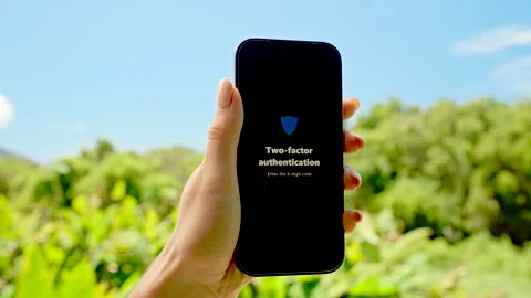Hand Holding Smartphone with Two Factor Authentication Request on Screen Against Stock Footage 318474181