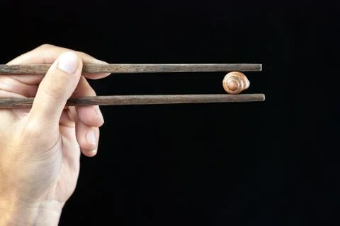 Hand holding snail shell using chopsticks Stock Photos